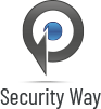 pt logo3